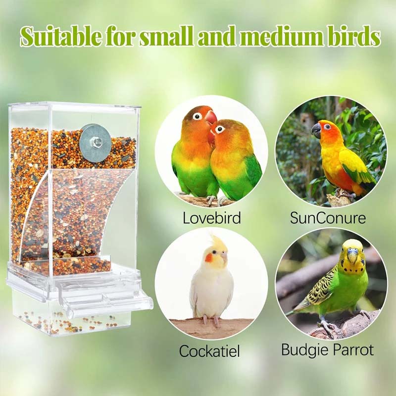 🔥BUY 2 GET 10% OFF💝Automatic No-Spill Transparent Bird Feeder