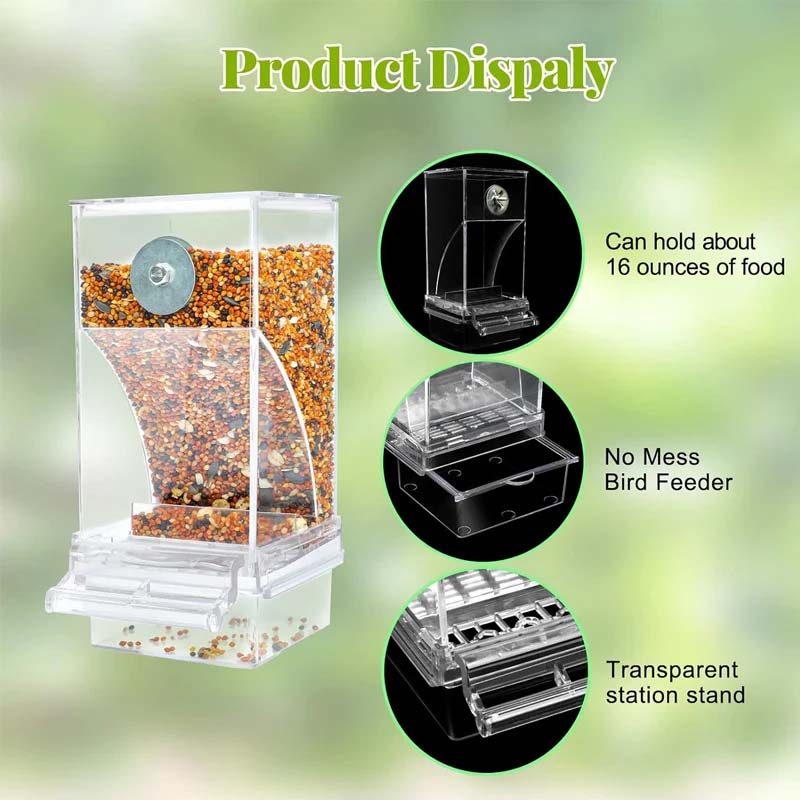 🔥BUY 2 GET 10% OFF💝Automatic No-Spill Transparent Bird Feeder