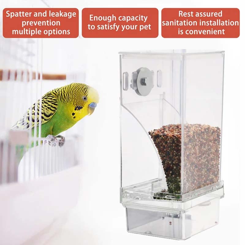 🔥BUY 2 GET 10% OFF💝Automatic No-Spill Transparent Bird Feeder