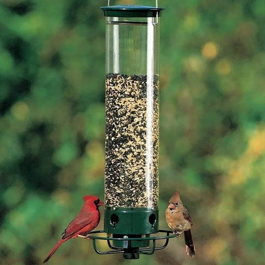 🔥BUY 2 GET 10% OFF💝Proof Bird Feeder