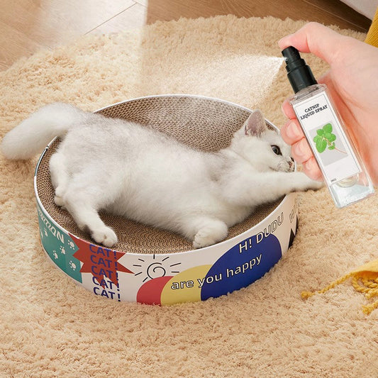 🔥Hot Sale - 49% OFF🐱Catnip Liquid Spray