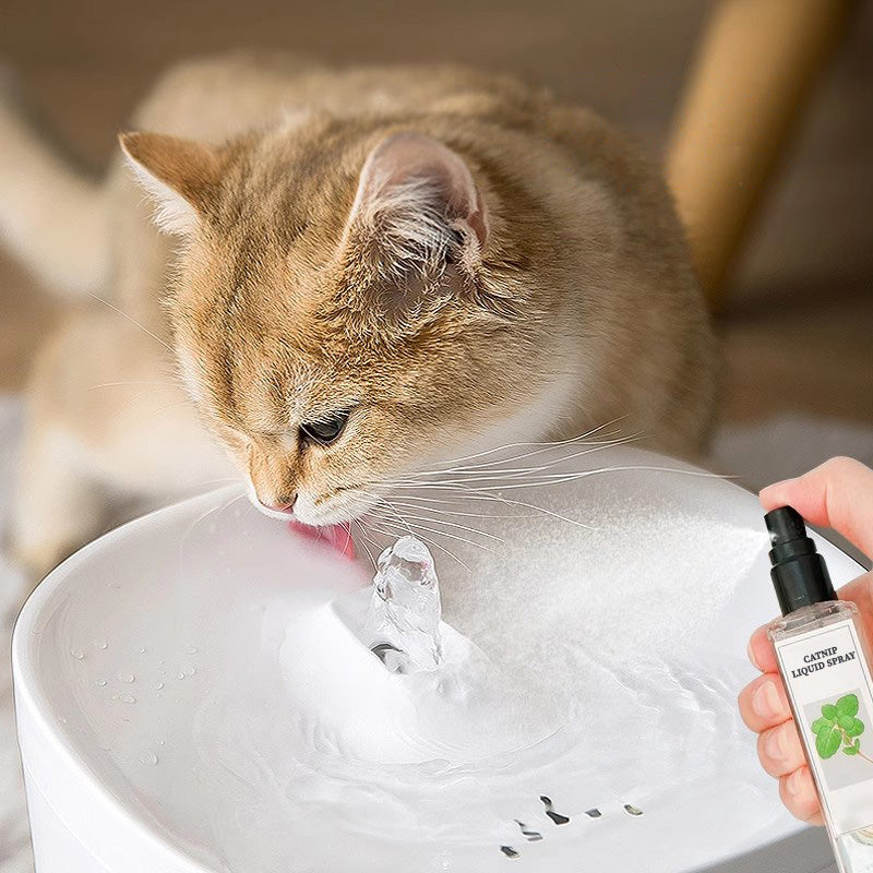 🔥Hot Sale - 49% OFF🐱Catnip Liquid Spray