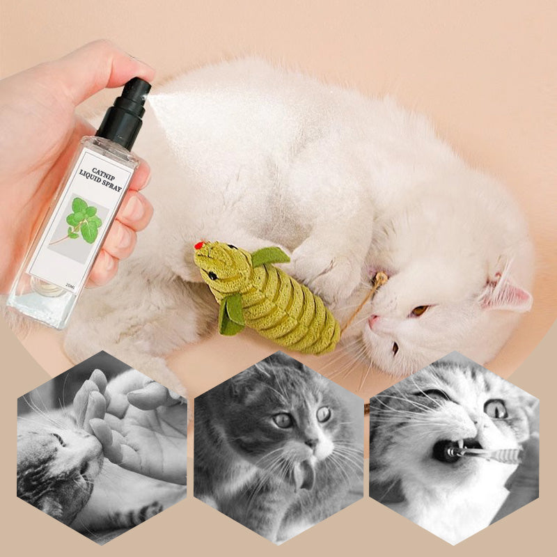 🔥Hot Sale - 49% OFF🐱Catnip Liquid Spray