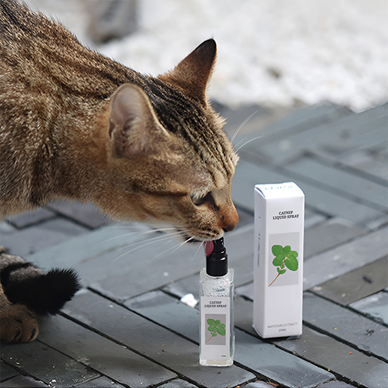 🔥Hot Sale - 49% OFF🐱Catnip Liquid Spray