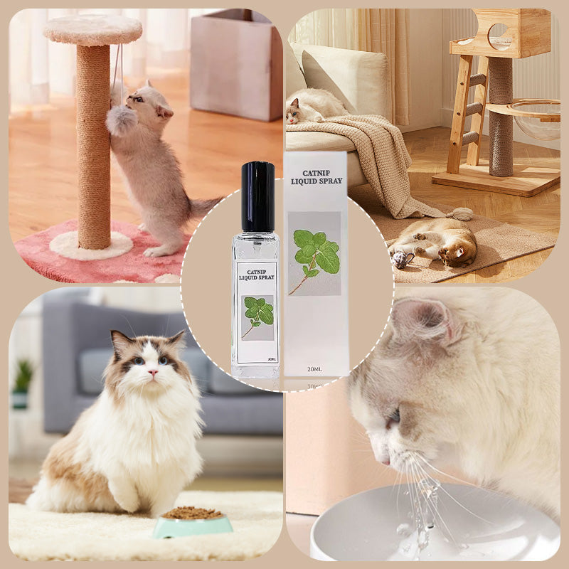 🔥Hot Sale - 49% OFF🐱Catnip Liquid Spray